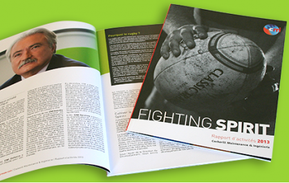 The CMI Group 2013 Activity Report is online.