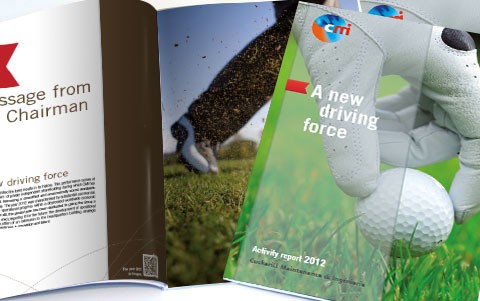 Publication of CMI 2012 Activity Report.