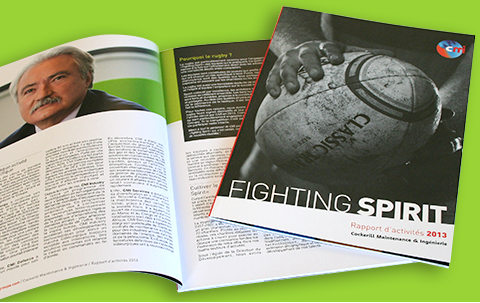 The CMI Group 2013 Activity Report is online.