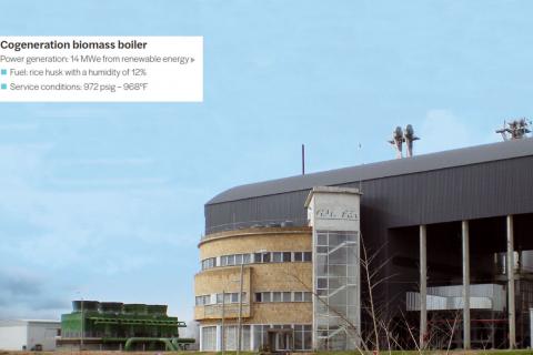biomass steam boiler
