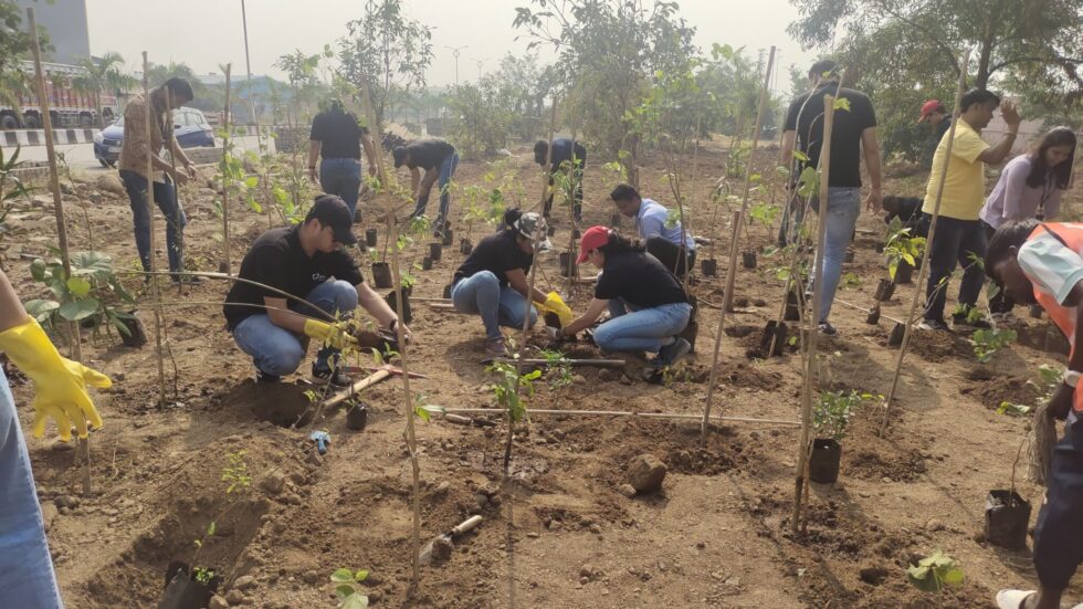 Tree plantation drive at Jawaharlal Nehru Port Authority: a green initiative by John Cockerill India